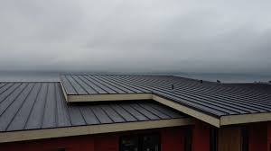 Fast & Reliable Emergency Roof Repairs in Winlock, WA